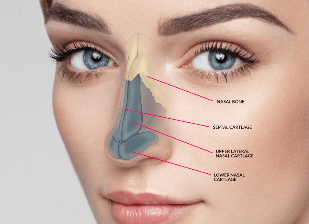 Rhinoplasty Treatment